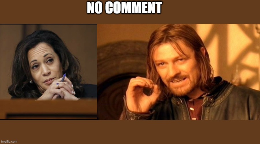 Technic | NO COMMENT | image tagged in kamala harris | made w/ Imgflip meme maker