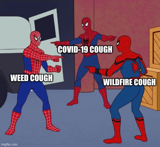It’s 2020. You never know which one. | COVID-19 COUGH; WEED COUGH; WILDFIRE COUGH | image tagged in spider man triple,wildfire,smoke,weed,covid-19,cough | made w/ Imgflip meme maker