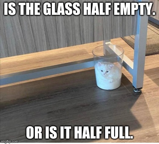 IS THE GLASS HALF EMPTY. OR IS IT HALF FULL. | image tagged in cats,cat | made w/ Imgflip meme maker