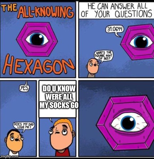 Eeeee the hex | DO U KNOW WERE ALL MY SOCKS GO | image tagged in all knowing hexagon | made w/ Imgflip meme maker