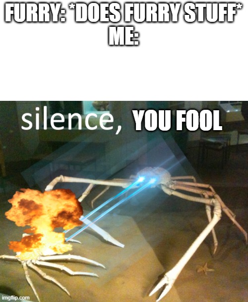 me | FURRY: *DOES FURRY STUFF*
ME:; YOU FOOL | image tagged in silence crab | made w/ Imgflip meme maker