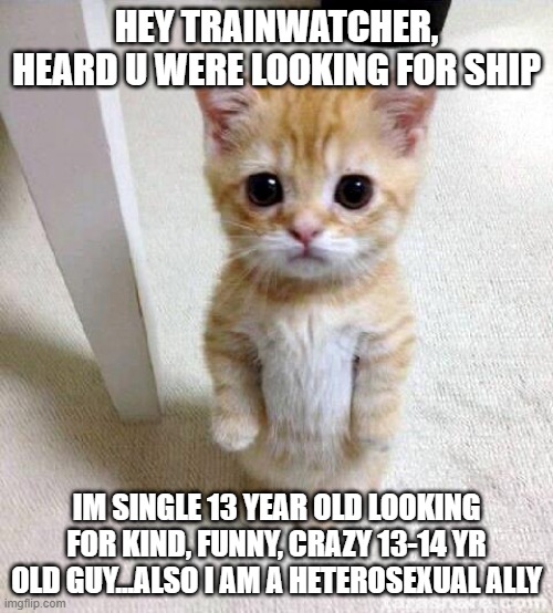 hello..... | HEY TRAINWATCHER, HEARD U WERE LOOKING FOR SHIP; IM SINGLE 13 YEAR OLD LOOKING FOR KIND, FUNNY, CRAZY 13-14 YR OLD GUY...ALSO I AM A HETEROSEXUAL ALLY | image tagged in memes,cute cat,ship,hello there,single life,sadness | made w/ Imgflip meme maker
