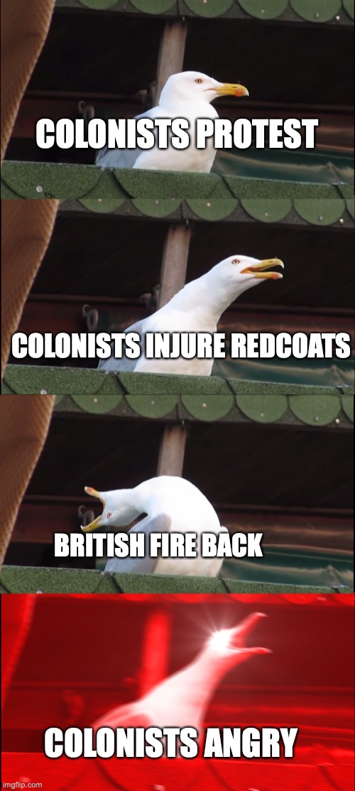 Remember Boston Massacre? | COLONISTS PROTEST; COLONISTS INJURE REDCOATS; BRITISH FIRE BACK; COLONISTS ANGRY | image tagged in memes,inhaling seagull | made w/ Imgflip meme maker
