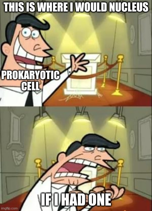 science people get me | THIS IS WHERE I WOULD NUCLEUS; PROKARYOTIC
CELL; IF I HAD ONE | image tagged in memes,this is where i'd put my trophy if i had one | made w/ Imgflip meme maker