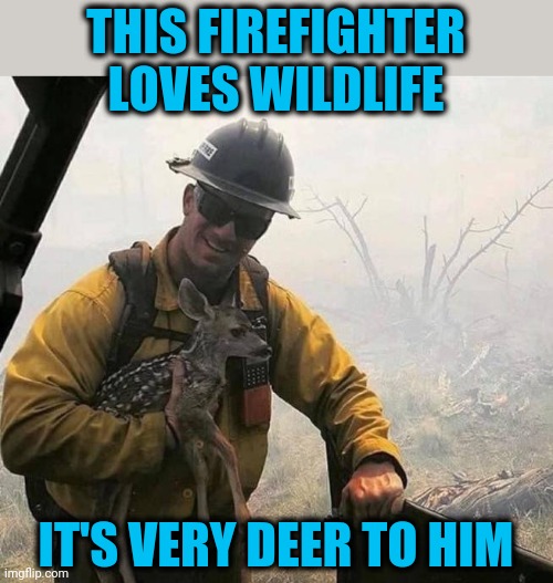 Bad pun (are there any good ones?) | THIS FIREFIGHTER LOVES WILDLIFE; IT'S VERY DEER TO HIM | image tagged in pun,deer | made w/ Imgflip meme maker