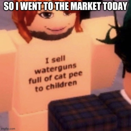 Cat Ladys | SO I WENT TO THE MARKET TODAY | image tagged in cat ladys,roblox,elmo,cats,pee,children | made w/ Imgflip meme maker