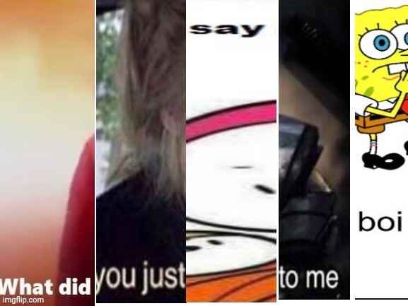 What did you just say to me boi? | image tagged in what did you just say to me boi | made w/ Imgflip meme maker