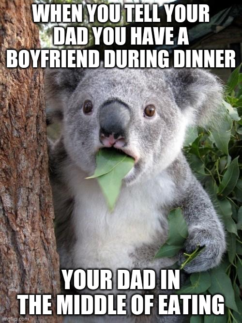 Father | WHEN YOU TELL YOUR DAD YOU HAVE A BOYFRIEND DURING DINNER; YOUR DAD IN THE MIDDLE OF EATING | image tagged in memes,surprised koala | made w/ Imgflip meme maker