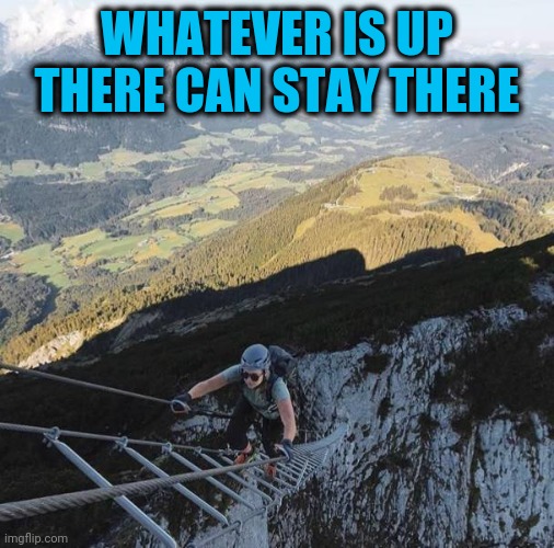 Nope | WHATEVER IS UP THERE CAN STAY THERE | image tagged in not me | made w/ Imgflip meme maker