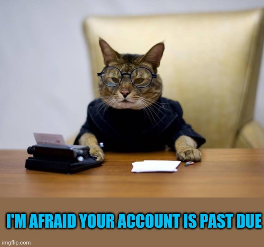 Mittens, the delinquent account manager, had a tendency towards rigidity | I'M AFRAID YOUR ACCOUNT IS PAST DUE | image tagged in office cat | made w/ Imgflip meme maker