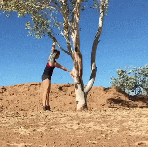 4fajzw.gif