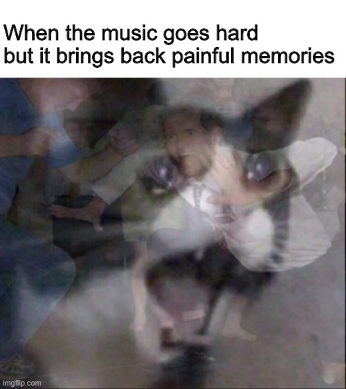 Sooooooo many dang songs | When the music goes hard but it brings back painful memories | image tagged in music,crying cat,painful,memories,oh god | made w/ Imgflip meme maker