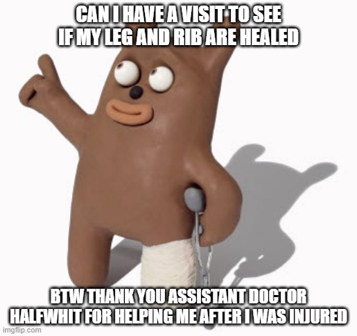 Am here for broken bone checkup | CAN I HAVE A VISIT TO SEE IF MY LEG AND RIB ARE HEALED; BTW THANK YOU ASSISTANT DOCTOR HALFWHIT FOR HELPING ME AFTER I WAS INJURED | image tagged in injury,doctor,broken leg,visit,thanks | made w/ Imgflip meme maker