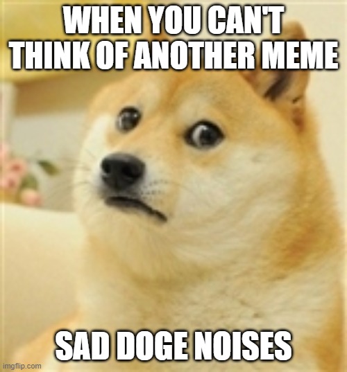 Sad Doge | WHEN YOU CAN'T THINK OF ANOTHER MEME; SAD DOGE NOISES | image tagged in sad doge | made w/ Imgflip meme maker