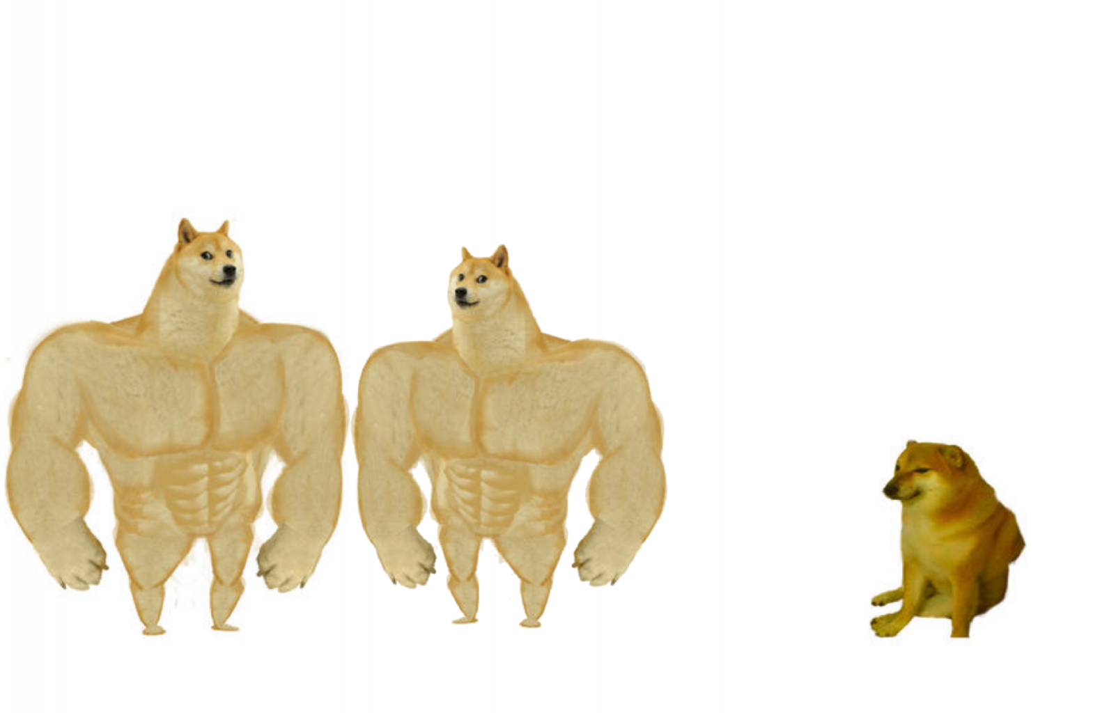 High Quality Chad doge vs chad doge vs cheems Blank Meme Template