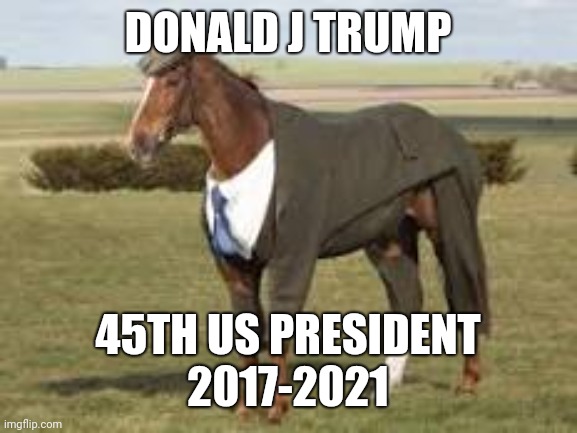 Horse in a suit | DONALD J TRUMP; 45TH US PRESIDENT
2017-2021 | image tagged in donald trump | made w/ Imgflip meme maker