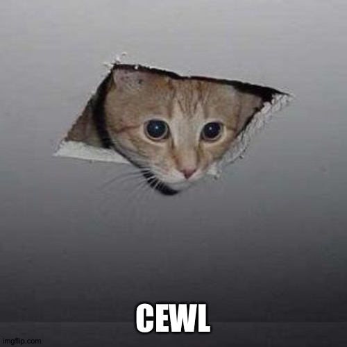 Ceiling Cat | CEWL | image tagged in memes,ceiling cat | made w/ Imgflip meme maker