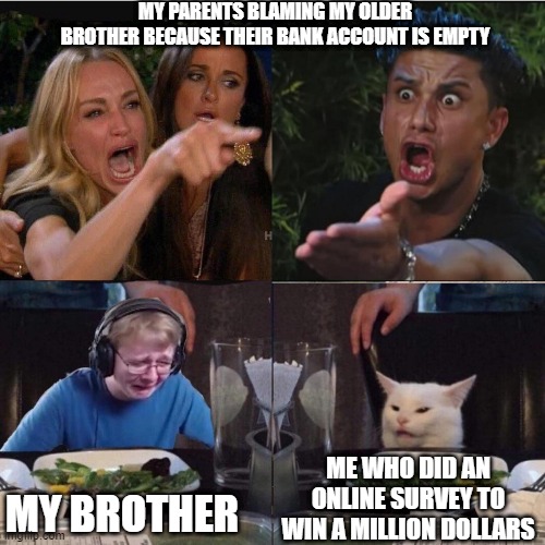 Girl pointing at cat crossover meme | MY PARENTS BLAMING MY OLDER BROTHER BECAUSE THEIR BANK ACCOUNT IS EMPTY; ME WHO DID AN ONLINE SURVEY TO WIN A MILLION DOLLARS; MY BROTHER | image tagged in girl pointing at cat crossover meme | made w/ Imgflip meme maker