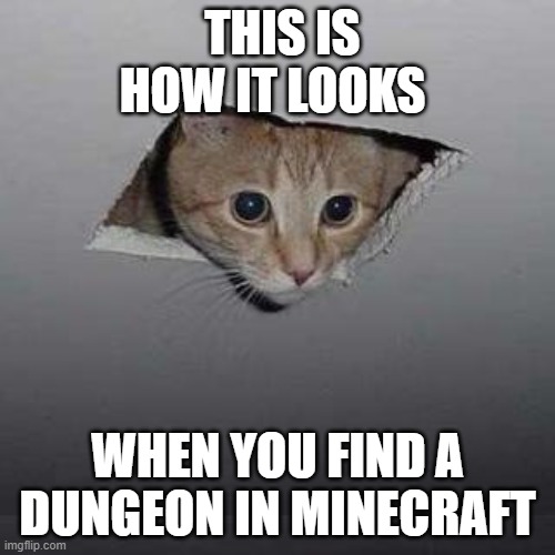 Ceiling Cat | THIS IS HOW IT LOOKS; WHEN YOU FIND A DUNGEON IN MINECRAFT | image tagged in memes,ceiling cat | made w/ Imgflip meme maker