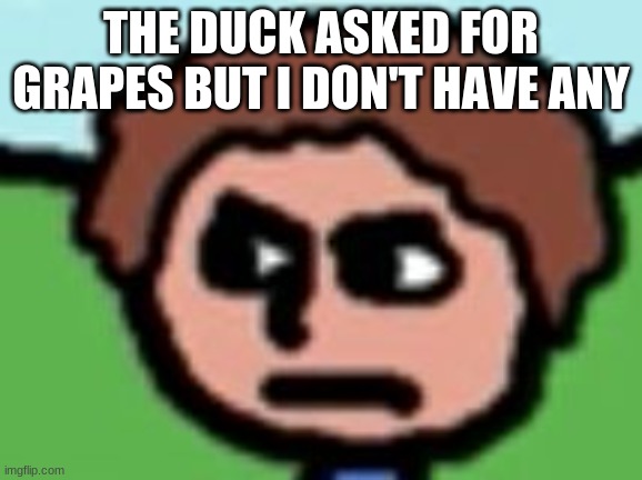 Annoyed | THE DUCK ASKED FOR GRAPES BUT I DON'T HAVE ANY | image tagged in annoyed | made w/ Imgflip meme maker