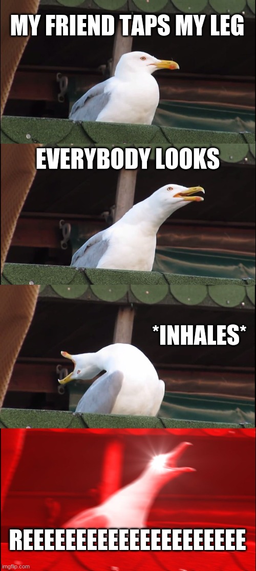 Inhaling Seagull Meme | MY FRIEND TAPS MY LEG; EVERYBODY LOOKS; *INHALES*; REEEEEEEEEEEEEEEEEEEEE | image tagged in memes,inhaling seagull | made w/ Imgflip meme maker