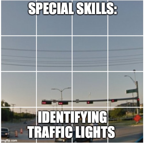 Not a Robot | SPECIAL SKILLS:; IDENTIFYING TRAFFIC LIGHTS | image tagged in traffic lights,verify,not a robot,special skills,password,marcos mateo ochoa | made w/ Imgflip meme maker