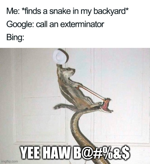 bing. why. | YEE HAW B@#%&$ | image tagged in jokes | made w/ Imgflip meme maker