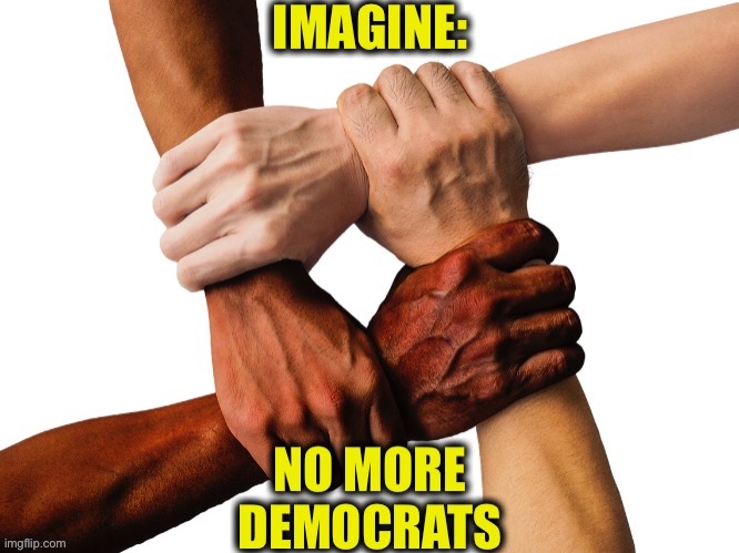 The only true way to end racism | image tagged in democrats,democratic party,memes,racism,no racism | made w/ Imgflip meme maker