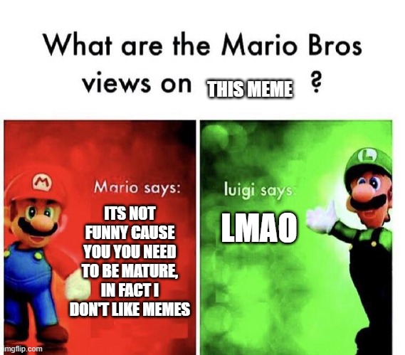 Mario Bros Views | ITS NOT FUNNY CAUSE YOU YOU NEED TO BE MATURE, IN FACT I DON'T LIKE MEMES LMAO THIS MEME | image tagged in mario bros views | made w/ Imgflip meme maker