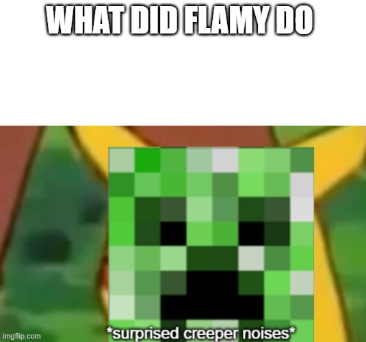 surprised creeper | WHAT DID FLAMY DO | image tagged in surprised creeper | made w/ Imgflip meme maker