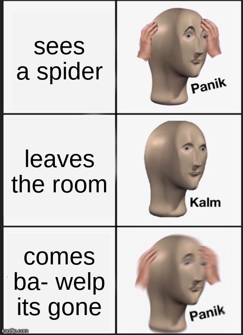 spiderss | sees a spider; leaves the room; comes ba- welp its gone | image tagged in memes,panik kalm panik,spiders | made w/ Imgflip meme maker