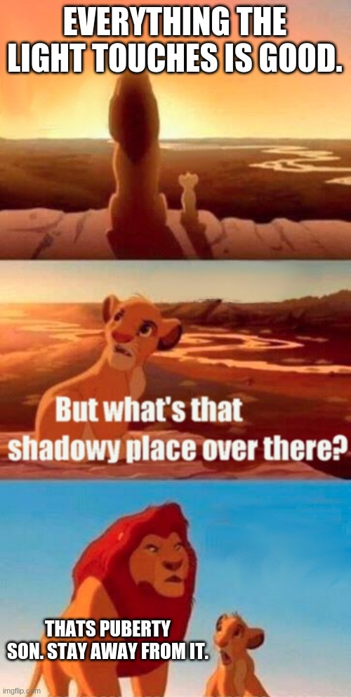 pooberty | EVERYTHING THE LIGHT TOUCHES IS GOOD. THATS PUBERTY SON. STAY AWAY FROM IT. | image tagged in memes,simba shadowy place | made w/ Imgflip meme maker