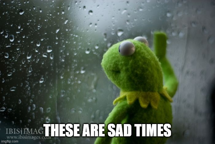 kermit window | THESE ARE SAD TIMES | image tagged in kermit window | made w/ Imgflip meme maker