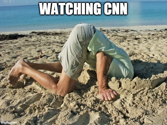 CNN Head in Sand | WATCHING CNN | image tagged in cnn,cnn fake news,cnn sucks,head in sand | made w/ Imgflip meme maker
