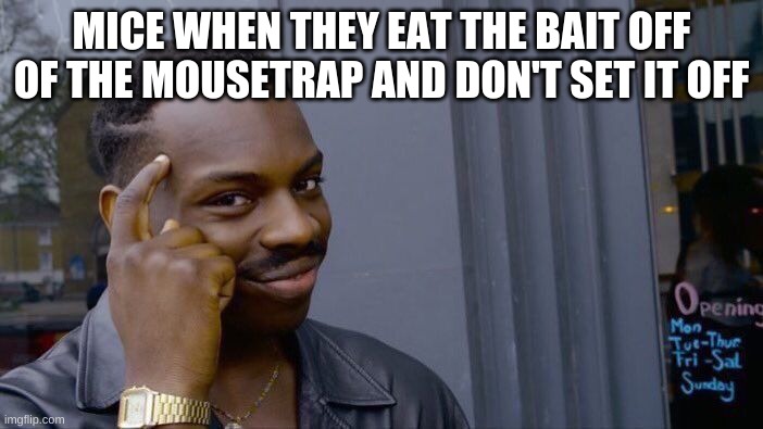 rats are peanut brains but they have A brain at least | MICE WHEN THEY EAT THE BAIT OFF OF THE MOUSETRAP AND DON'T SET IT OFF | image tagged in memes,roll safe think about it | made w/ Imgflip meme maker