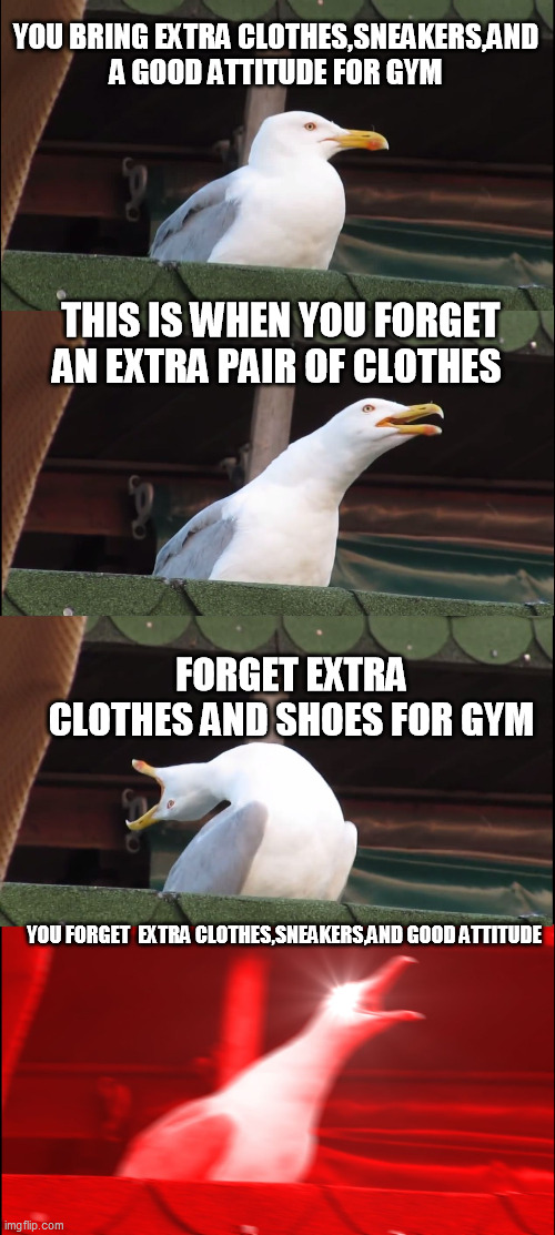 Inhaling Seagull | YOU BRING EXTRA CLOTHES,SNEAKERS,AND A GOOD ATTITUDE FOR GYM; THIS IS WHEN YOU FORGET AN EXTRA PAIR OF CLOTHES; FORGET EXTRA CLOTHES AND SHOES FOR GYM; YOU FORGET  EXTRA CLOTHES,SNEAKERS,AND GOOD ATTITUDE | image tagged in memes,inhaling seagull | made w/ Imgflip meme maker