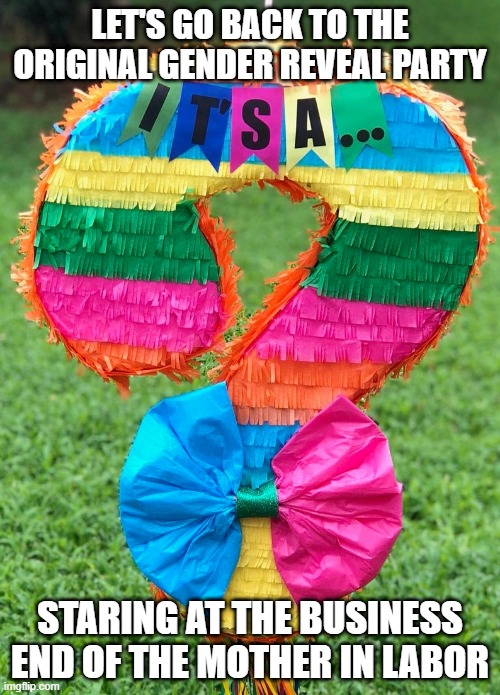 Gender Reveal Question Mark pinata it's a? | LET'S GO BACK TO THE ORIGINAL GENDER REVEAL PARTY; STARING AT THE BUSINESS END OF THE MOTHER IN LABOR | image tagged in gender reveal question mark pinata it's a | made w/ Imgflip meme maker
