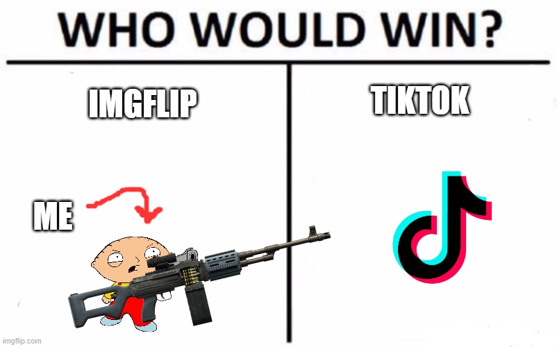 Who Would Win? | TIKTOK; IMGFLIP; ME | image tagged in memes,who would win | made w/ Imgflip meme maker