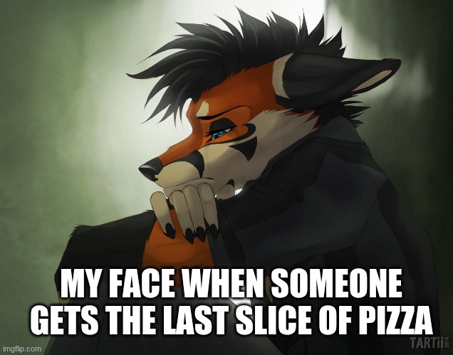 Fursona memes | MY FACE WHEN SOMEONE GETS THE LAST SLICE OF PIZZA | image tagged in furry,furries | made w/ Imgflip meme maker