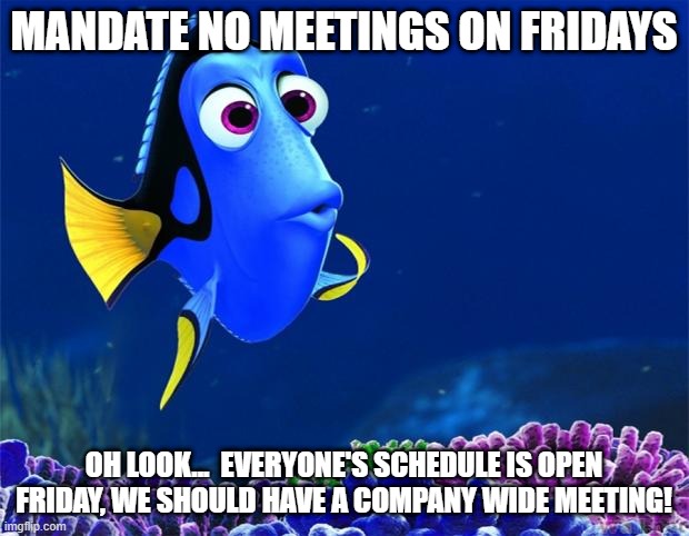 Dory | MANDATE NO MEETINGS ON FRIDAYS; OH LOOK...  EVERYONE'S SCHEDULE IS OPEN FRIDAY, WE SHOULD HAVE A COMPANY WIDE MEETING! | image tagged in dory | made w/ Imgflip meme maker