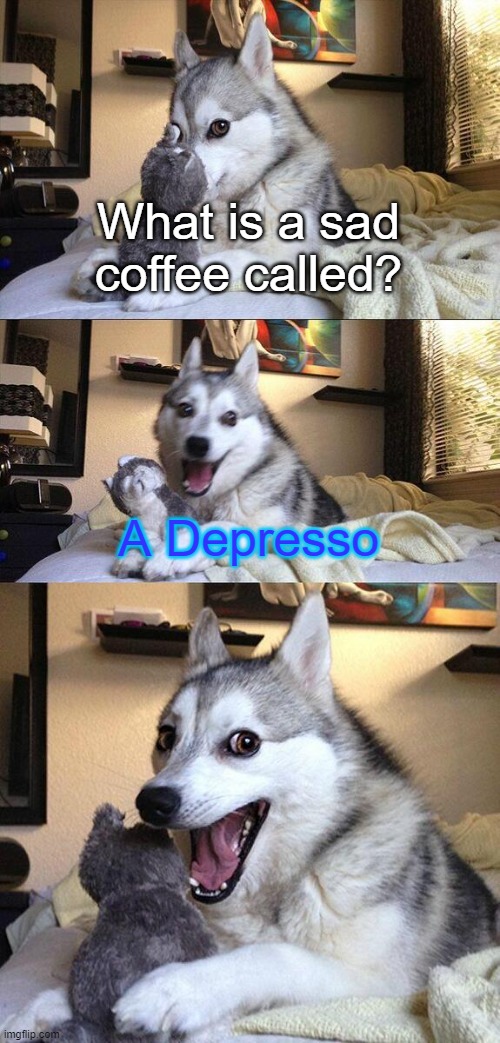 I got this meme from a GrayStillPlays video on YouTube | What is a sad coffee called? A Depresso | image tagged in memes,bad pun dog,graystillplays | made w/ Imgflip meme maker