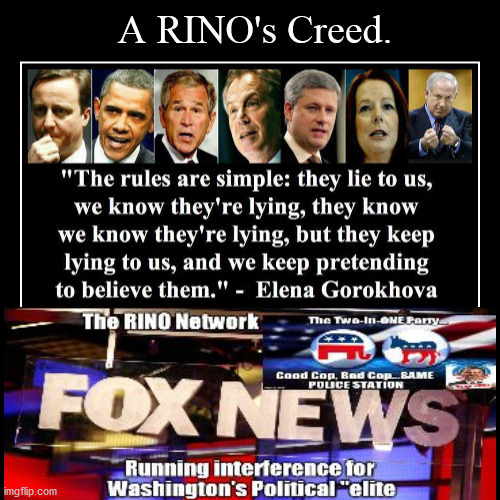 Fox NEWs, the RINO Network....Which half is which?  They'll tell us...you believe it! | image tagged in rino network,good cop bad cop same police station,fox news,fake news,biden | made w/ Imgflip meme maker