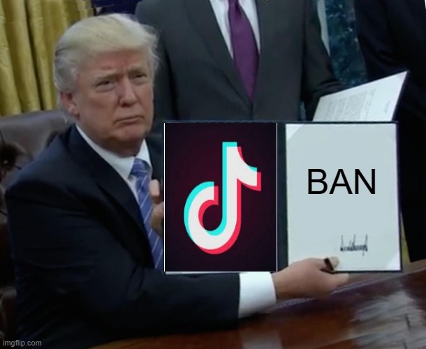 Trump Bill Signing Meme | BAN | image tagged in memes,trump bill signing | made w/ Imgflip meme maker