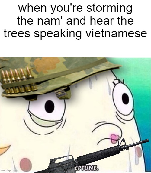 when you're storming the nam' and hear the trees speaking vietnamese | image tagged in oh neptune | made w/ Imgflip meme maker