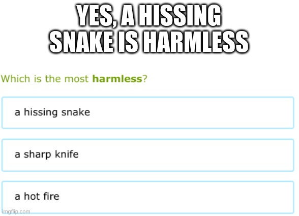 Snake | YES, A HISSING SNAKE IS HARMLESS | image tagged in snakes | made w/ Imgflip meme maker