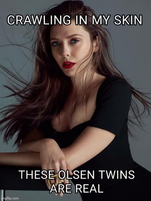 Crawling in my skin, these Olsen twins are real | image tagged in linkin park | made w/ Imgflip meme maker