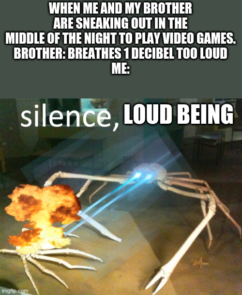 Silence Crab | WHEN ME AND MY BROTHER ARE SNEAKING OUT IN THE MIDDLE OF THE NIGHT TO PLAY VIDEO GAMES.
BROTHER: BREATHES 1 DECIBEL TOO LOUD
ME:; LOUD BEING | image tagged in silence crab,video games | made w/ Imgflip meme maker