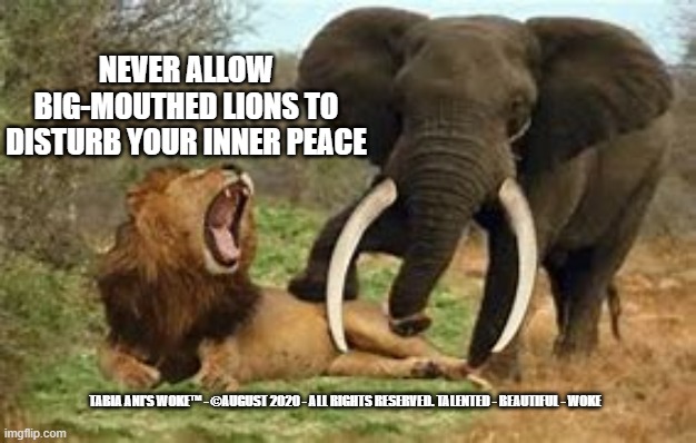Inner peace | NEVER ALLOW BIG-MOUTHED LIONS TO DISTURB YOUR INNER PEACE; TABIA ANI'S WOKE™ - ©AUGUST 2020 - ALL RIGHTS RESERVED. TALENTED - BEAUTIFUL - WOKE | image tagged in peace | made w/ Imgflip meme maker