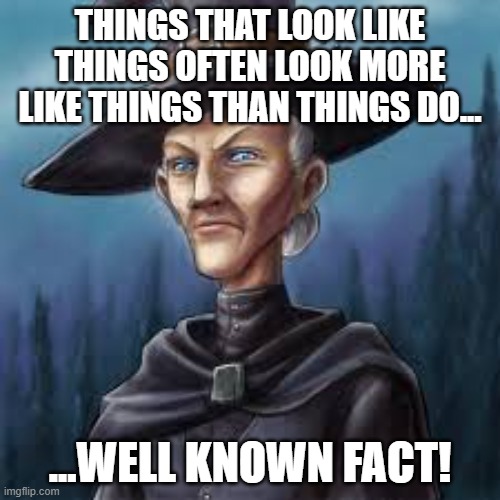 Granny Weatherwax on Things | THINGS THAT LOOK LIKE THINGS OFTEN LOOK MORE LIKE THINGS THAN THINGS DO... ...WELL KNOWN FACT! | image tagged in discworld,granny weatherwax,things | made w/ Imgflip meme maker