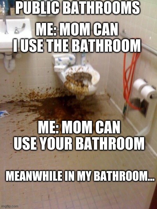 Girls poop too | PUBLIC BATHROOMS; ME: MOM CAN I USE THE BATHROOM; ME: MOM CAN USE YOUR BATHROOM; MEANWHILE IN MY BATHROOM... | image tagged in girls poop too | made w/ Imgflip meme maker